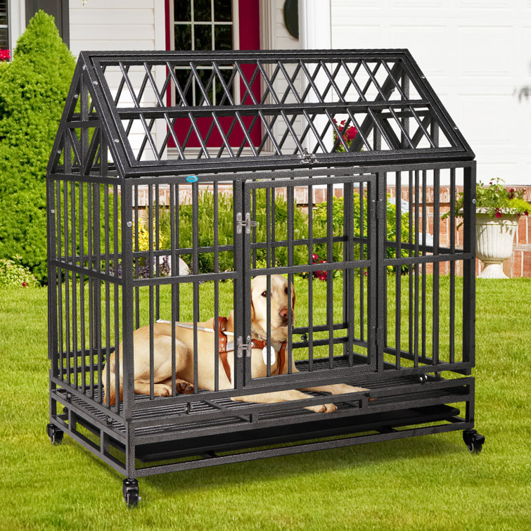 Can A Dog Chew Through A Metal Crate